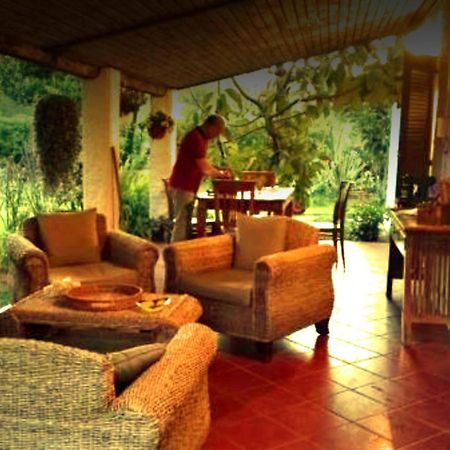 La Corte Delle Rose B&B Praia a Mare Zewnętrze zdjęcie