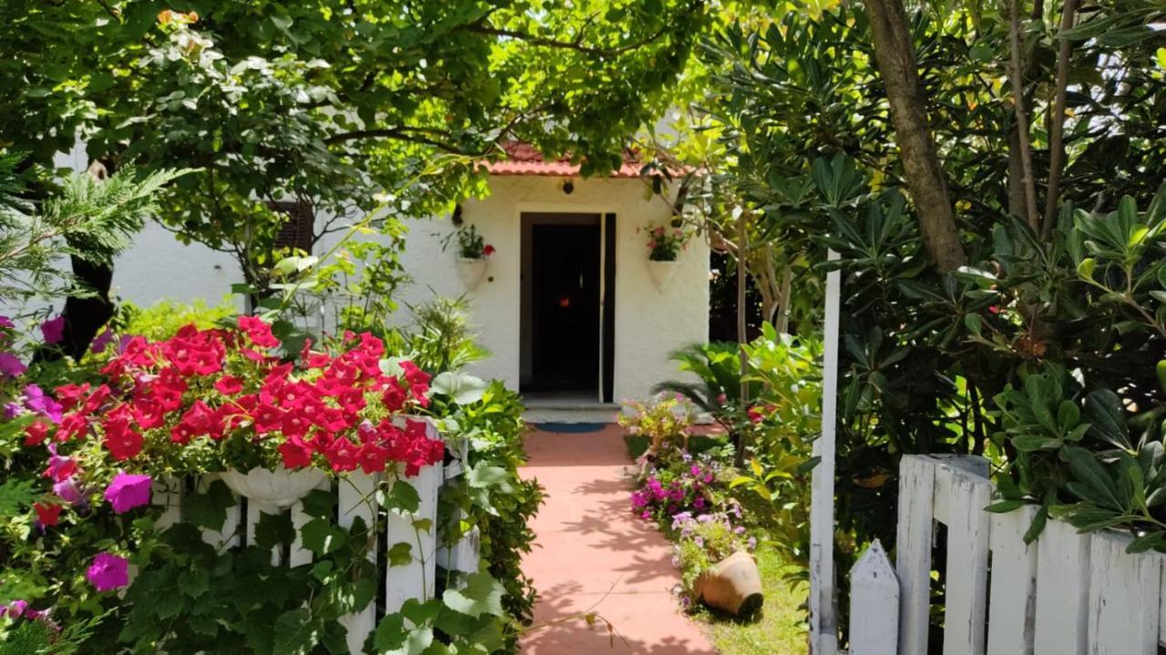 La Corte Delle Rose B&B Praia a Mare Zewnętrze zdjęcie