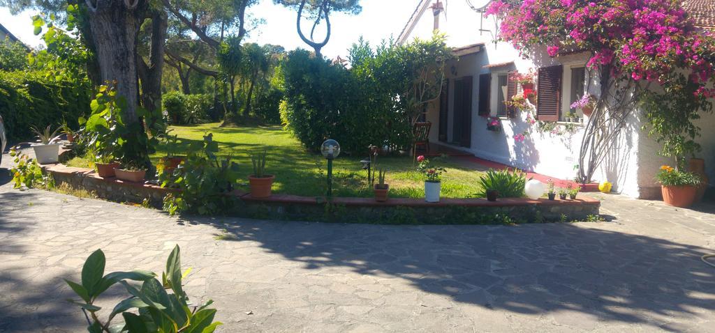 La Corte Delle Rose B&B Praia a Mare Zewnętrze zdjęcie