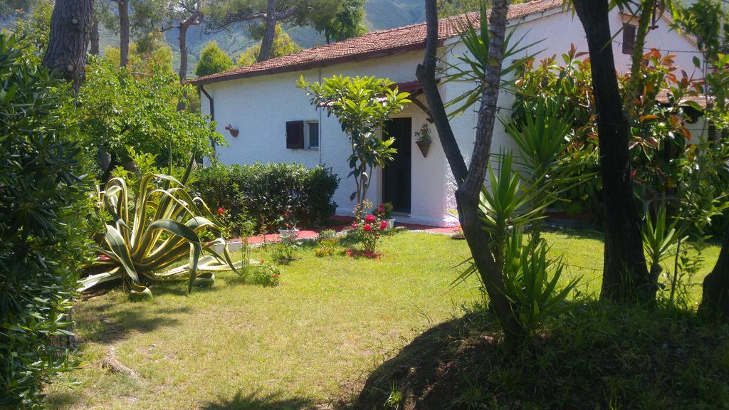 La Corte Delle Rose B&B Praia a Mare Zewnętrze zdjęcie
