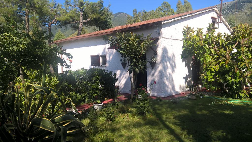 La Corte Delle Rose B&B Praia a Mare Zewnętrze zdjęcie